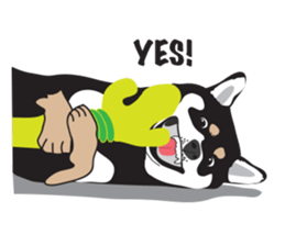 Black Shiba Inu Akira sticker #10411472