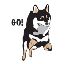Black Shiba Inu Akira sticker #10411475