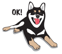 Black Shiba Inu Akira sticker #10411476