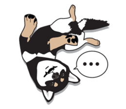 Black Shiba Inu Akira sticker #10411480