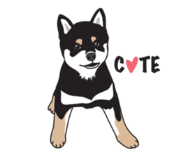 Black Shiba Inu Akira sticker #10411481