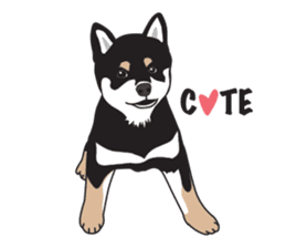Black Shiba Inu Akira sticker #10411481