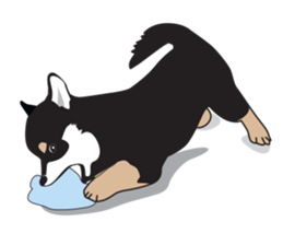 Black Shiba Inu Akira sticker #10411484