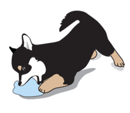 Black Shiba Inu Akira sticker #10411484