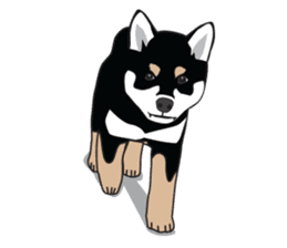 Black Shiba Inu Akira sticker #10411486