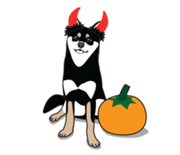 Black Shiba Inu Akira sticker #10411487