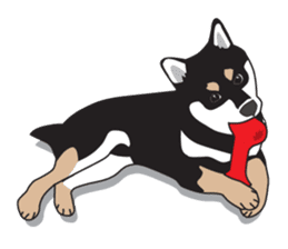 Black Shiba Inu Akira sticker #10411488