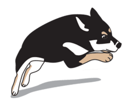 Black Shiba Inu Akira sticker #10411490