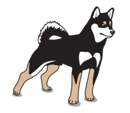 Black Shiba Inu Akira sticker #10411491