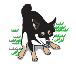 Black Shiba Inu Akira sticker #10411493