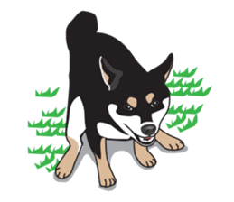 Black Shiba Inu Akira sticker #10411493