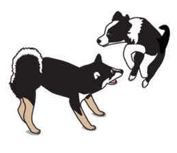 Black Shiba Inu Akira sticker #10411496