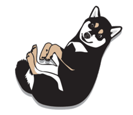 Black Shiba Inu Akira sticker #10411497