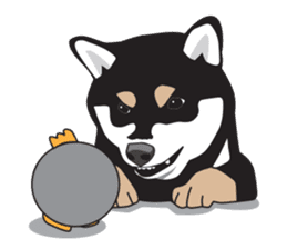 Black Shiba Inu Akira sticker #10411500