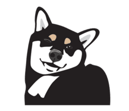 Black Shiba Inu Akira sticker #10411501