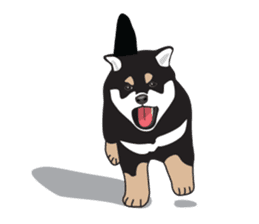 Black Shiba Inu Akira sticker #10411507