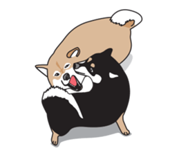 Black Shiba Inu Akira sticker #10411510