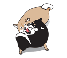 Black Shiba Inu Akira sticker #10411510