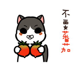 FourYou Vol.3 sticker #10414564