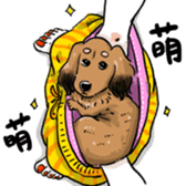 BowBow & MeiMei sticker #10416005