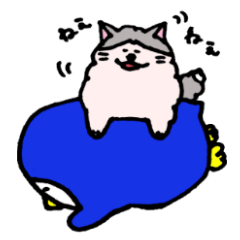 Peaceful daily penguin and cat