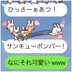 Team Rabbit*