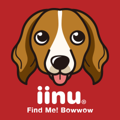 iinu - Kooikerhondje