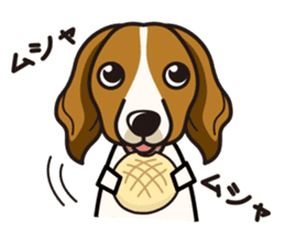 iinu - Kooikerhondje sticker #10418645