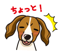 iinu - Kooikerhondje sticker #10418646