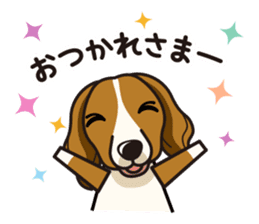 iinu - Kooikerhondje sticker #10418647