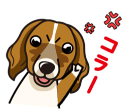 iinu - Kooikerhondje sticker #10418648