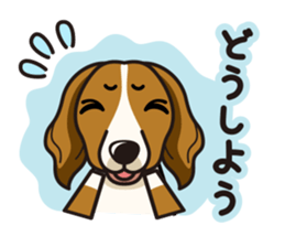 iinu - Kooikerhondje sticker #10418650