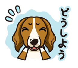 iinu - Kooikerhondje sticker #10418650