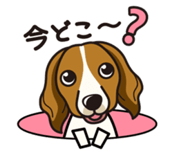 iinu - Kooikerhondje sticker #10418652