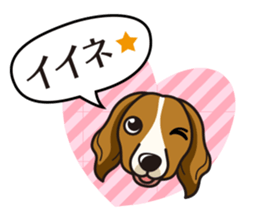 iinu - Kooikerhondje sticker #10418654