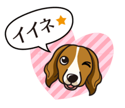 iinu - Kooikerhondje sticker #10418654