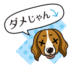 iinu - Kooikerhondje sticker #10418655