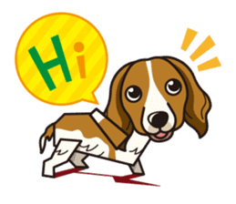 iinu - Kooikerhondje sticker #10418656