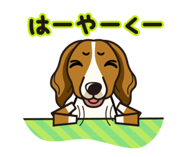 iinu - Kooikerhondje sticker #10418657