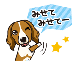 iinu - Kooikerhondje sticker #10418658