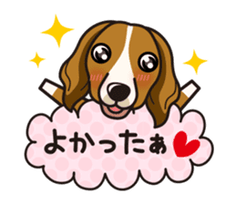 iinu - Kooikerhondje sticker #10418659