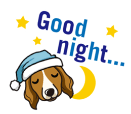 iinu - Kooikerhondje sticker #10418663