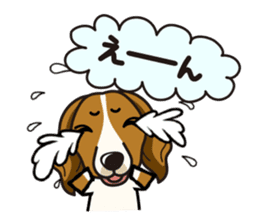 iinu - Kooikerhondje sticker #10418664