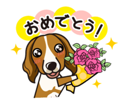 iinu - Kooikerhondje sticker #10418666