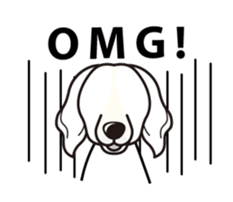 iinu - Kooikerhondje sticker #10418667