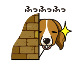 iinu - Kooikerhondje sticker #10418668
