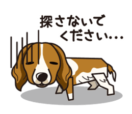 iinu - Kooikerhondje sticker #10418669