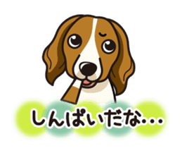 iinu - Kooikerhondje sticker #10418670