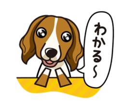 iinu - Kooikerhondje sticker #10418672