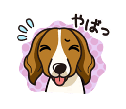 iinu - Kooikerhondje sticker #10418673